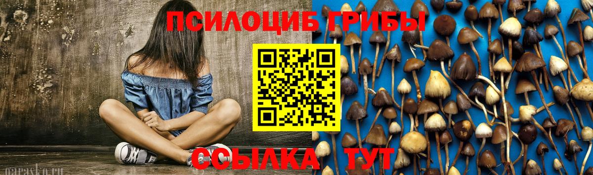 Галлюциногенные грибы Magic Shrooms  Псилоцибиновые грибы прущие грибы  Назрань  Вход с VPN 